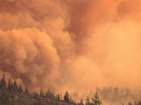 Climate Change Will Bring More, Bigger Wildfires to Western U.S. 