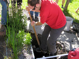 Drought-Proof Your Landscape with Greywater, 3/6/14