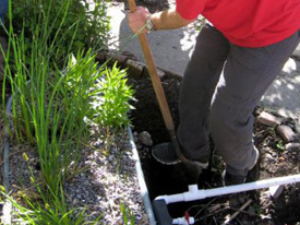 Greywater Action Presents: Drought Proof Your Landscape with Greywater, 6/12/14