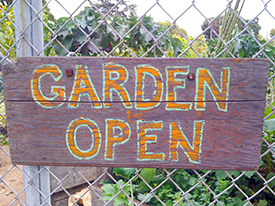 Berkeley Community Gardening Collaborative Is Hiring for New Coordinator