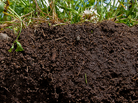 Ask our Help Desk: How do I prepare my soil for gardening?