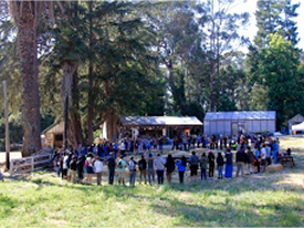 At Pie Ranch, Food Justice & Collaboration Draw Youth Together