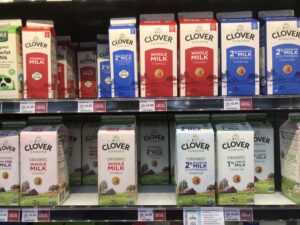 Grocery store dairy shelf featuring Clover Sonoma milk cartons