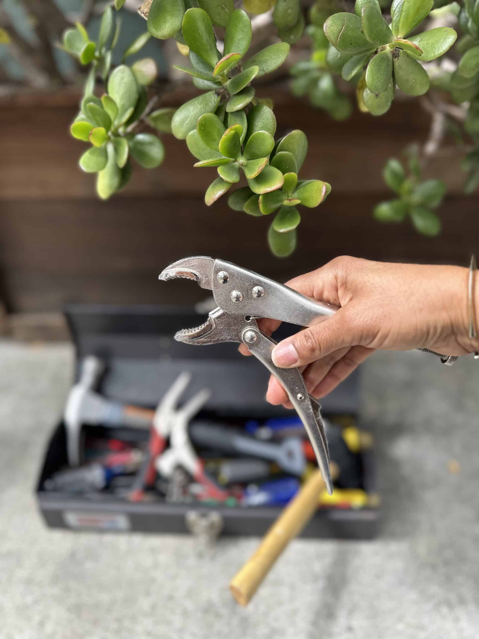 Hand grabbing a wrench and a tool chest