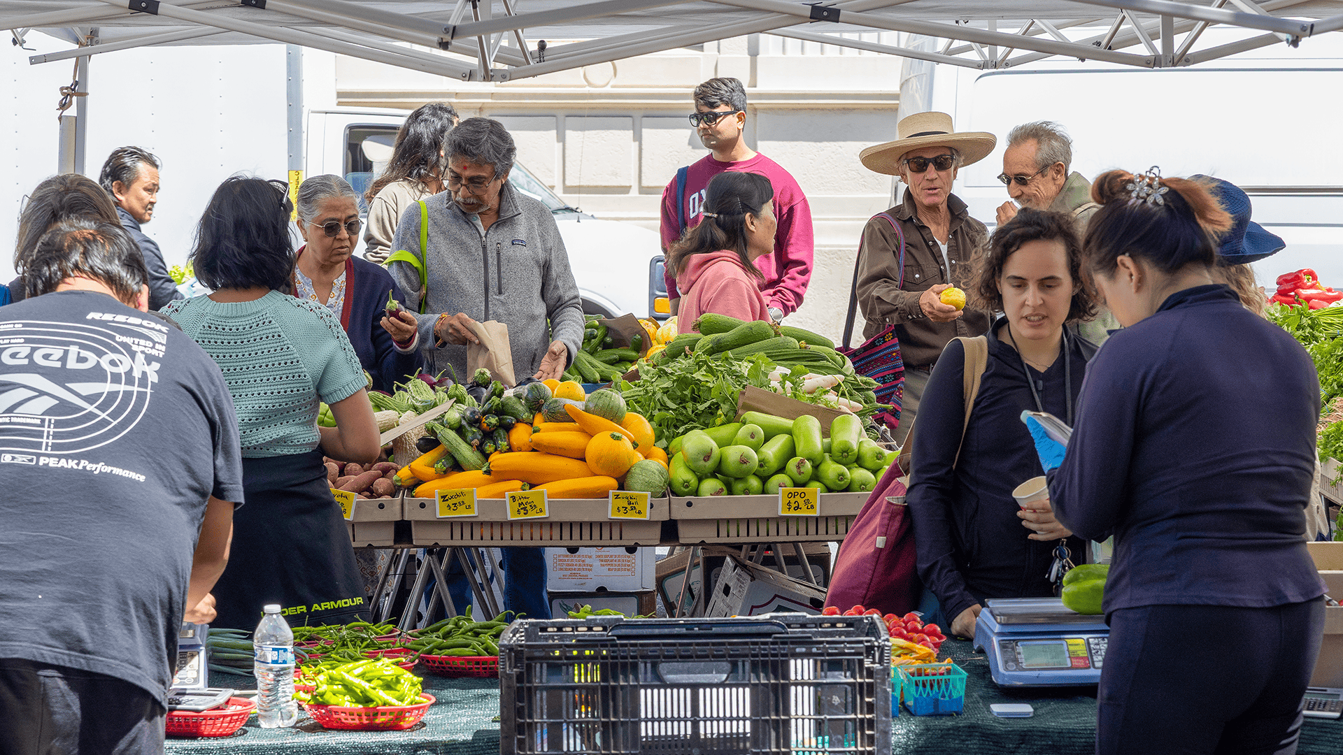 About Food & Farming